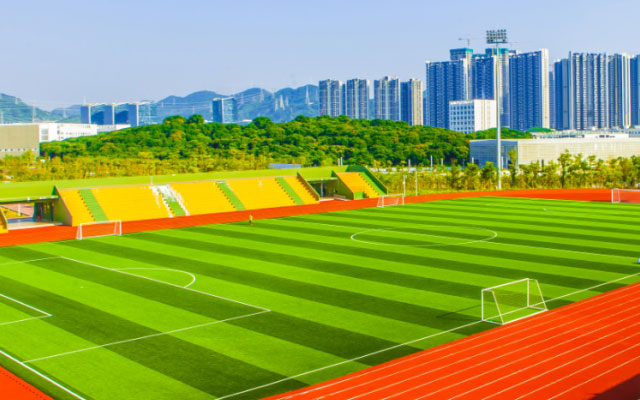 毕业季，重温在深大的那份炙热 | 毕业图鉴之运动系列