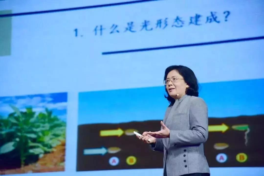 南粤优秀教师莫蓓莘：做一个具有唤醒力的灵魂