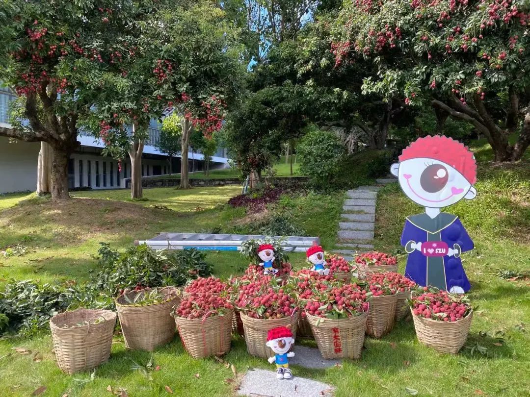 又见荔枝红 | 芒果体育2020官方毕业歌曲MV来了！