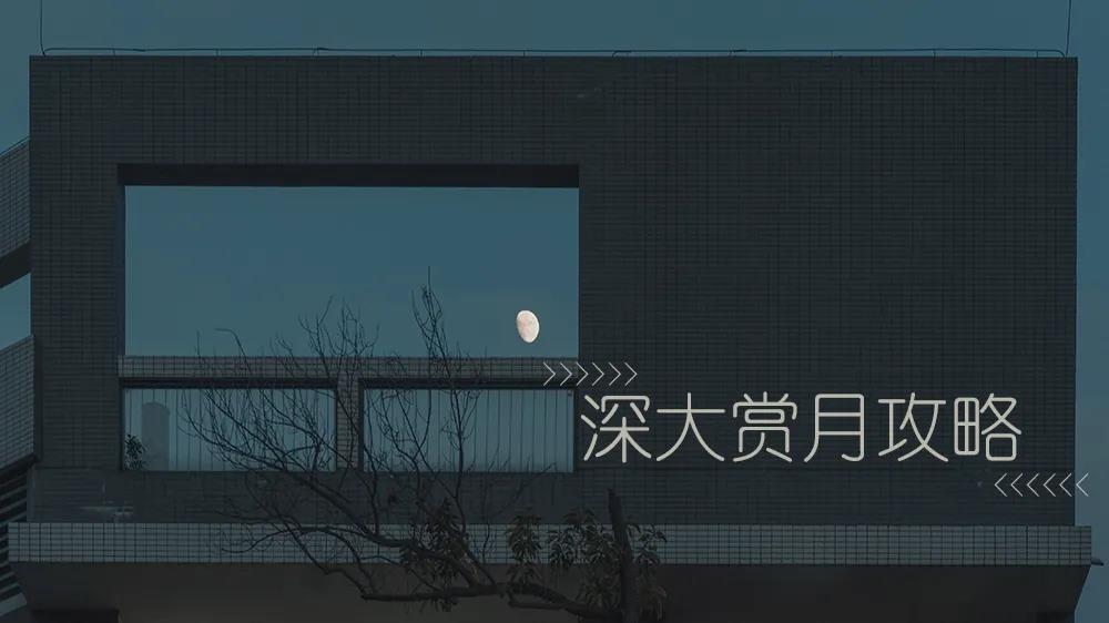 不知道去哪里赏月？收下这份深大中秋赏月攻略！